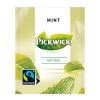 Pickwick Mint Prof 4x3x25 CT 300