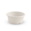 BioCane Sauce Container 60ml White CT 1000